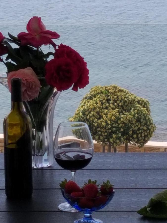 Sanja Apartments Rivarela Novigrad  Zewnętrze zdjęcie
